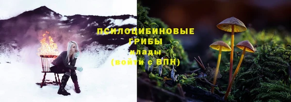 сатива Арсеньев