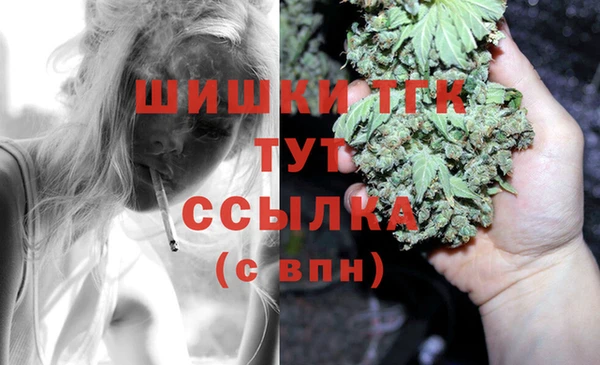 крисы Аркадак