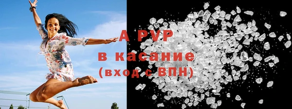 крисы Аркадак